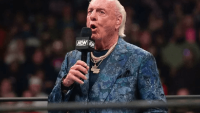 What Is Ric Flair Net Worth