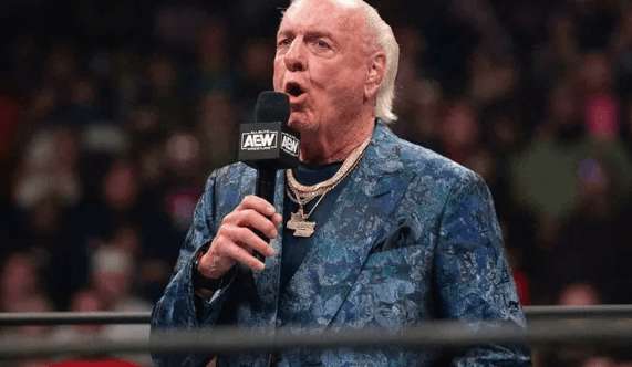 What Is Ric Flair Net Worth