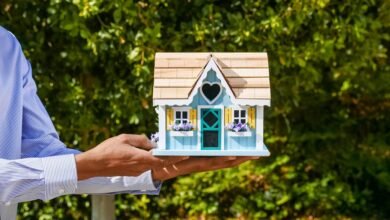 financial management and gardening