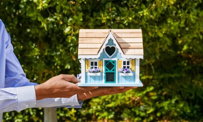 financial management and gardening