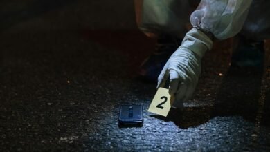 haunting number revealed 8443328652