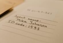 code name explanation revealed