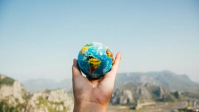corporate world exploration insights