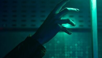 digital journey unveiled exploration