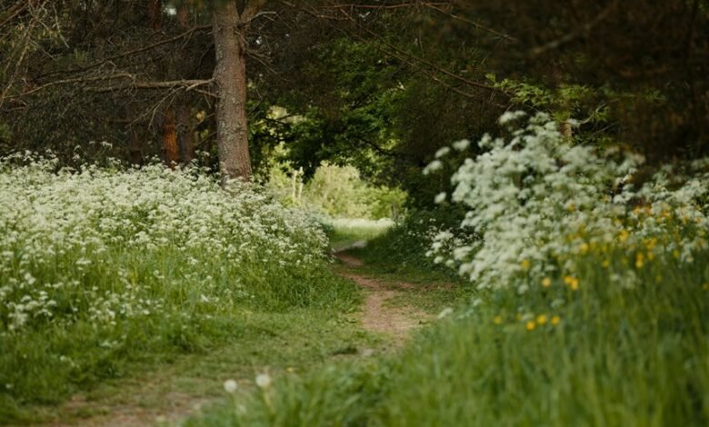 journey through uncharted paths