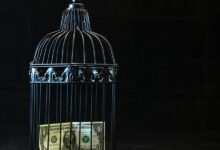financial freedom secrets revealed