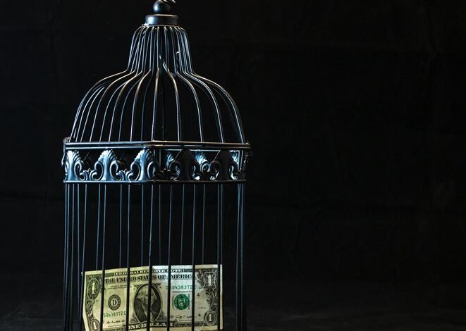 financial freedom secrets revealed