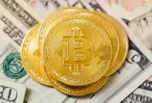 key stocks for growth