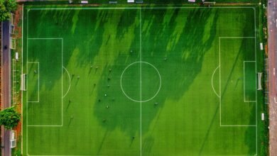 activity identifiers listed