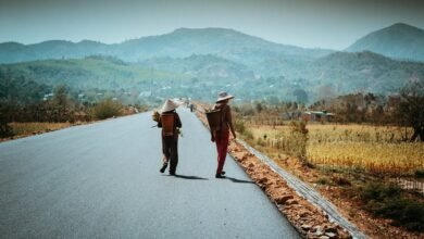 multi region identifier report