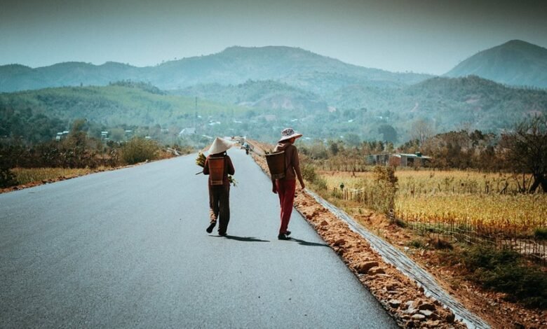 multi region identifier report