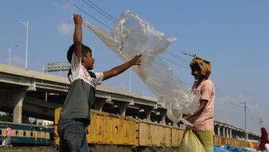 activity snapshot overview