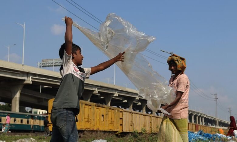 activity snapshot overview