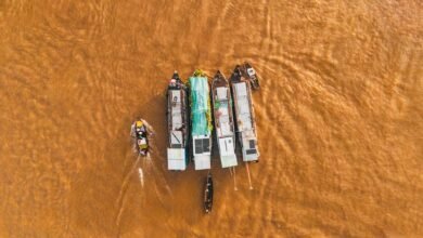 market activity overview report