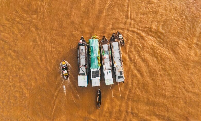 market activity overview report