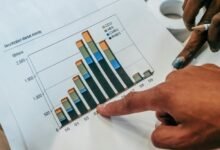 sector review document overview